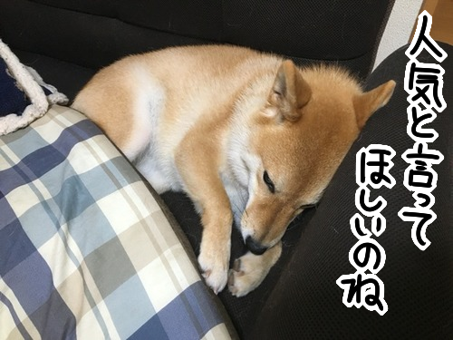 eie81r0o