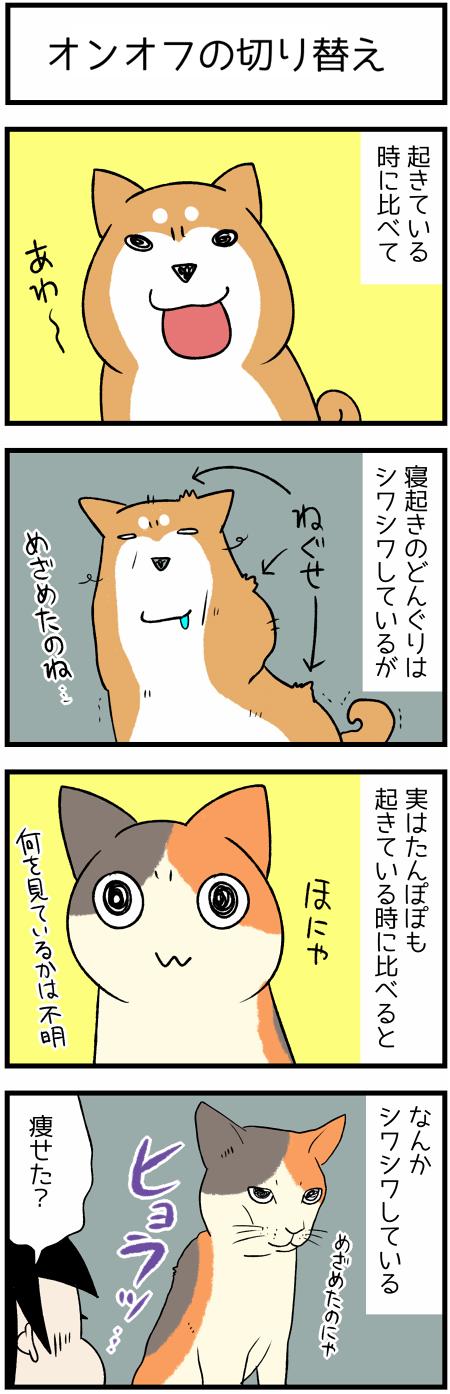 20200202寝起き1