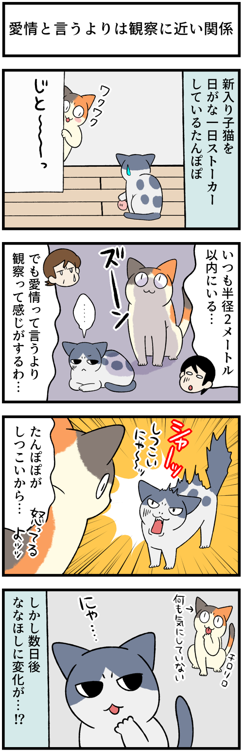 20220405猫っていったい…1