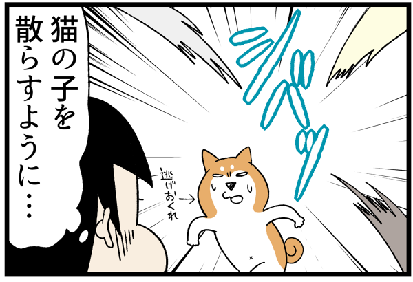 20260612実家に帰ると4