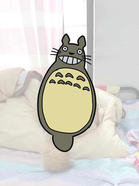 rjxz1ylm３