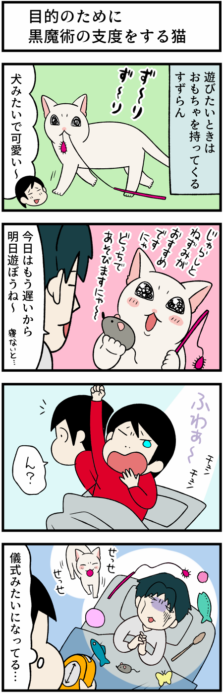 20211015子猫の遊んで攻撃2