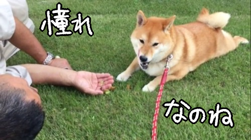 ksqbb2ph