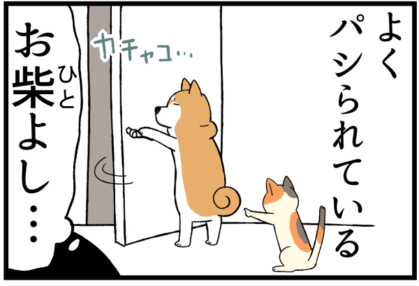 20260611おしばよし4