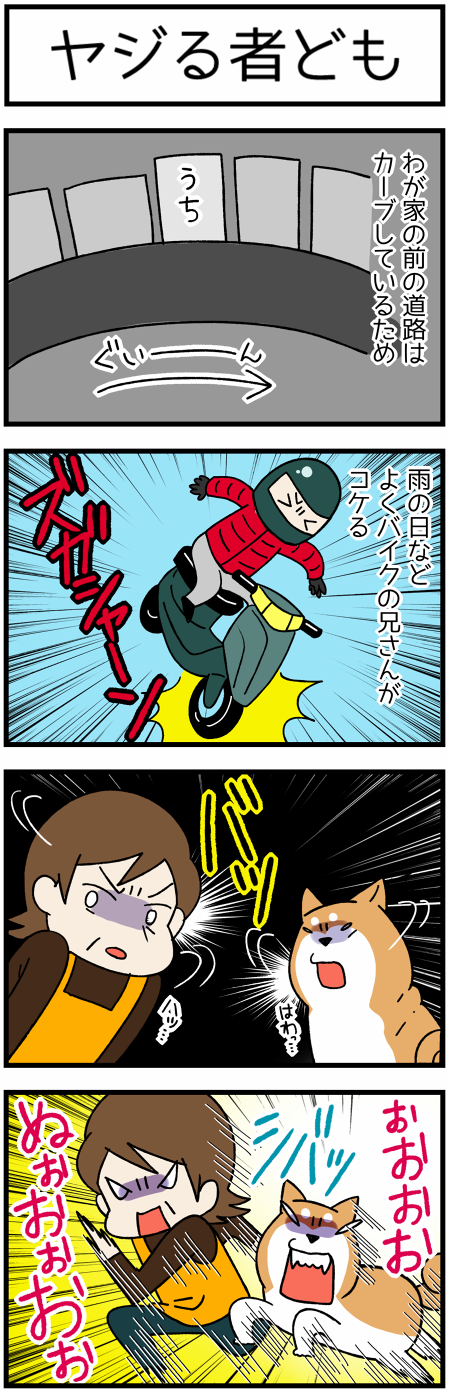 20170327ヤジ柴1