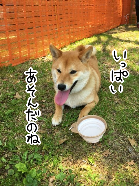 jgqsiscn