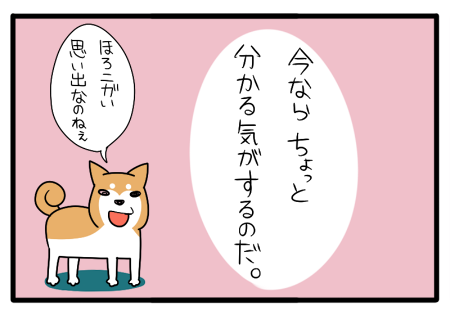 12.png