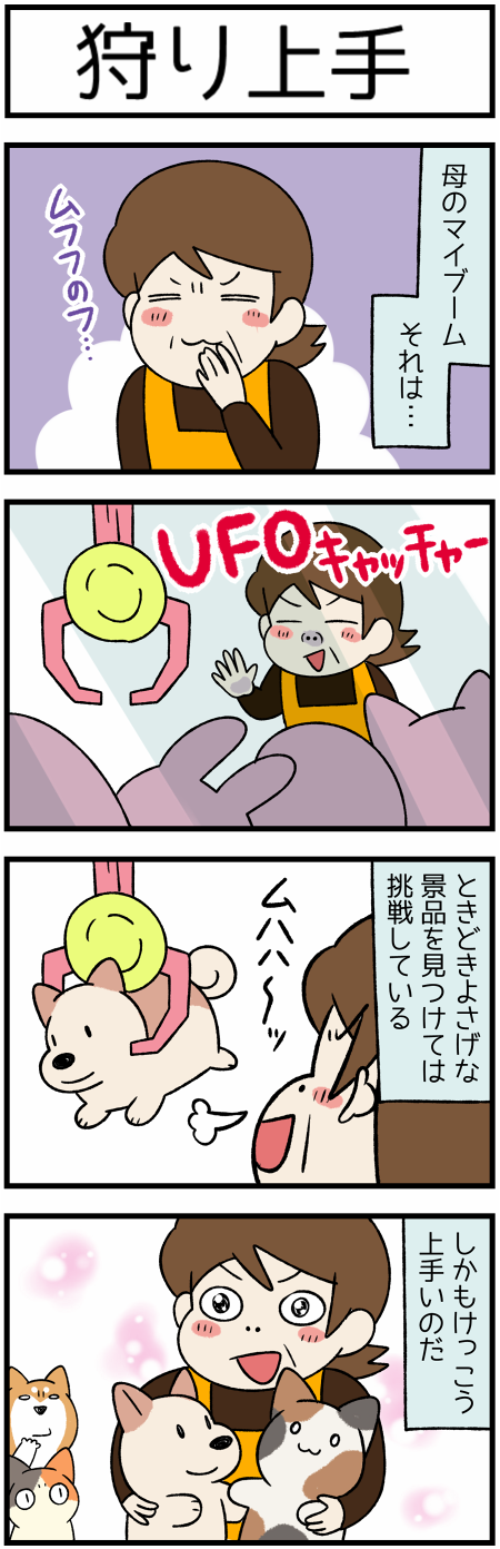 20201222母の趣味と断捨離1