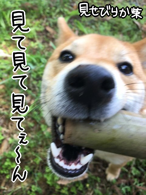 qrwue624