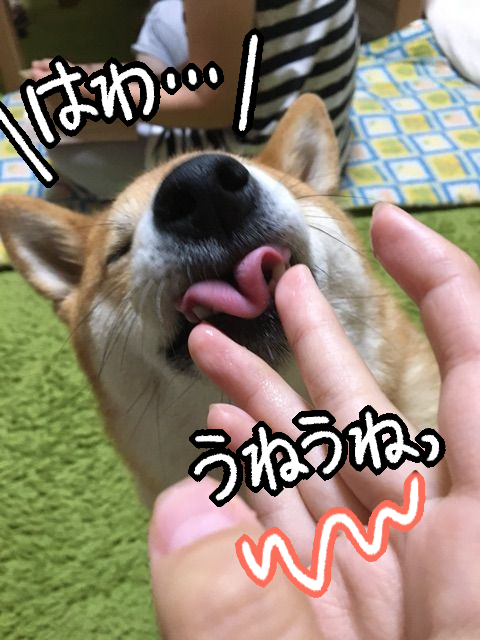 flxq9knd