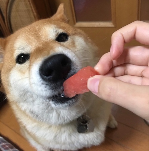 FullSizeRender