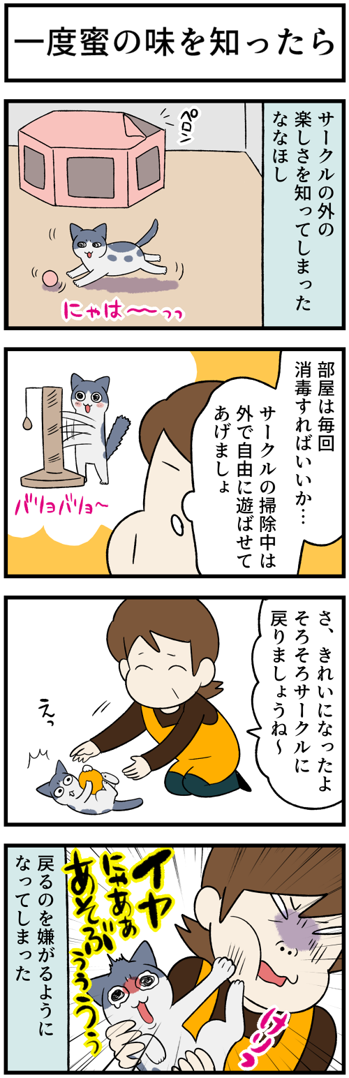 20220221自己主張はｊまる1