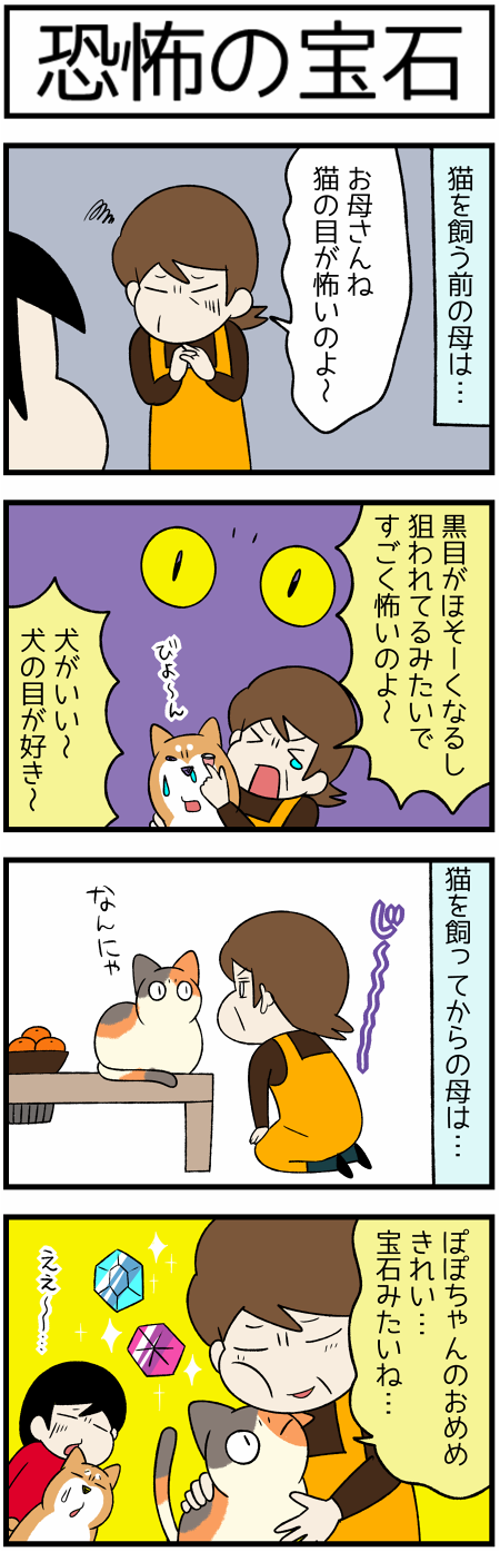 20201210猫と宝石1