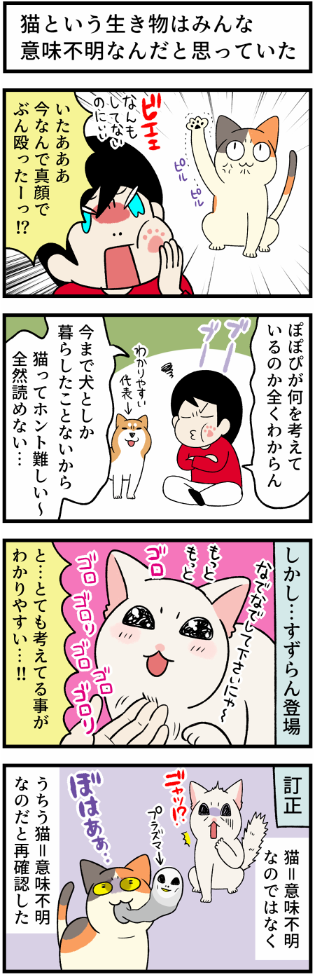 20211002わかりやすい猫1