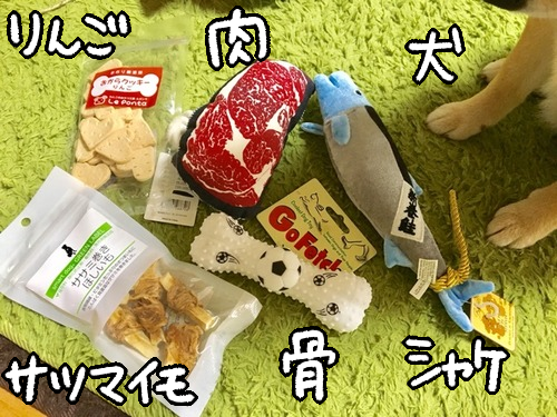 otj7jkhg