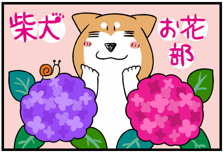 柴犬お花部シリーズ