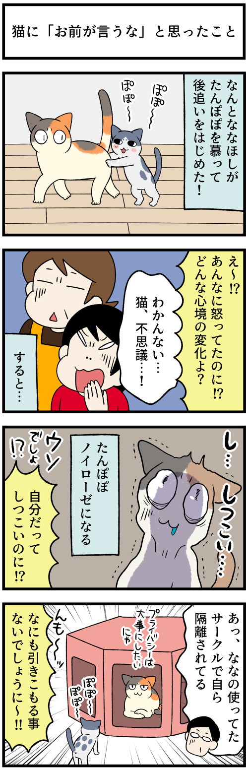 20220405猫っていったい…2