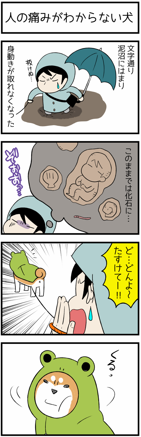 20190615転ぶ1