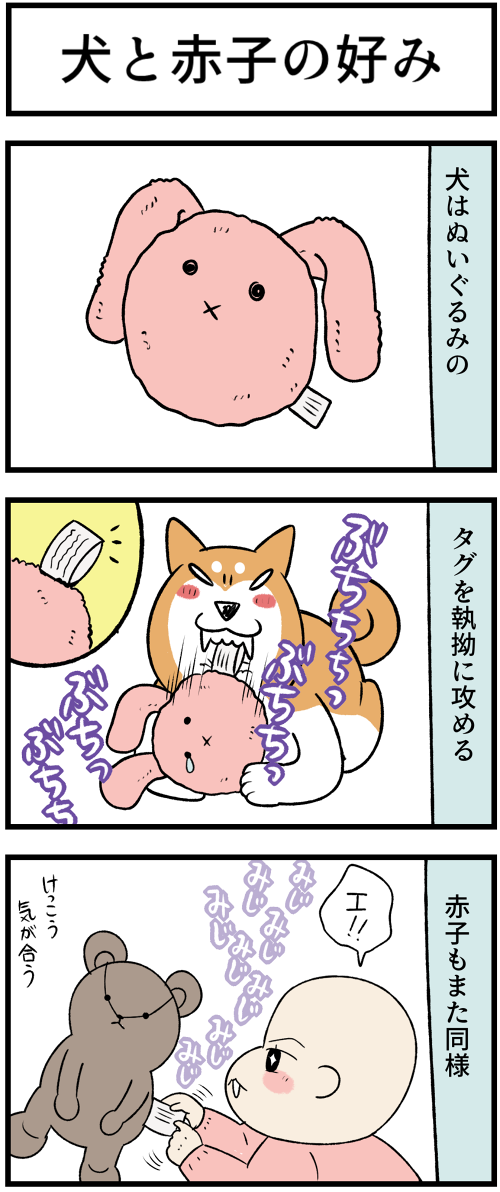 20230512犬と赤子の好み1
