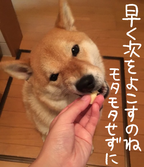 rbrqaatq