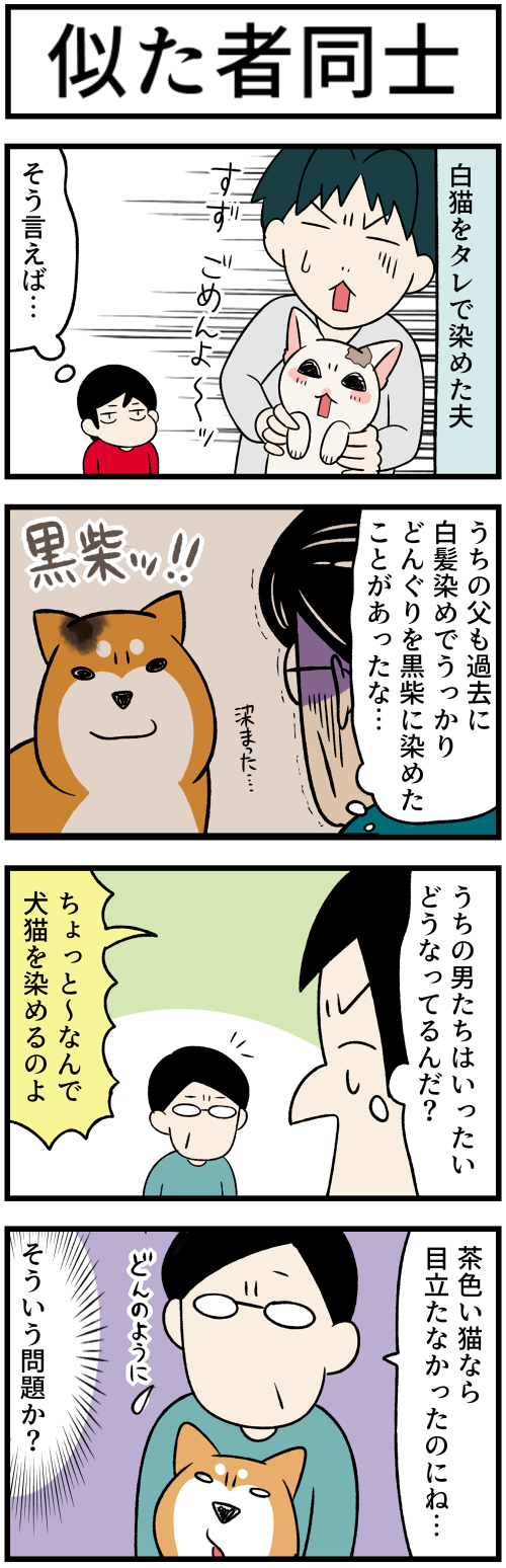 20220628犬猫を染める者1