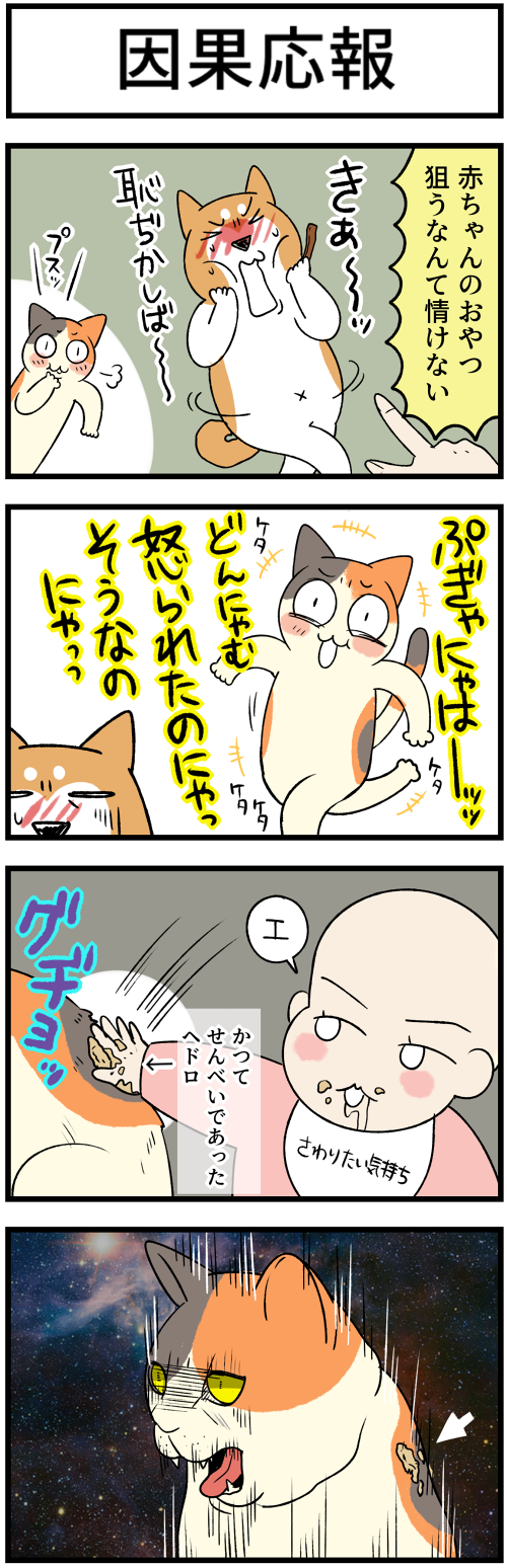 20230609因果応報1