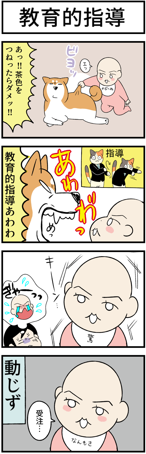 20230806教育的指導1