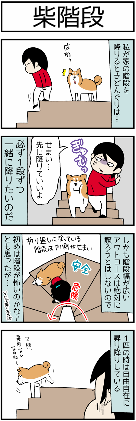 20201001柴階段1
