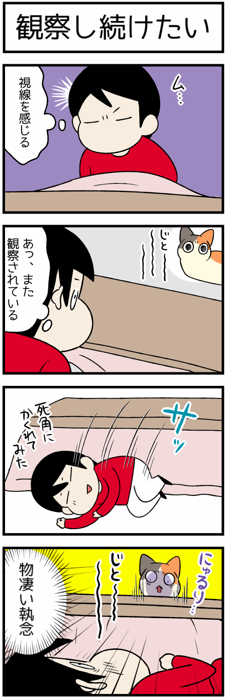 20210213視線切り1