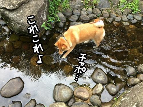 c8ywecmg