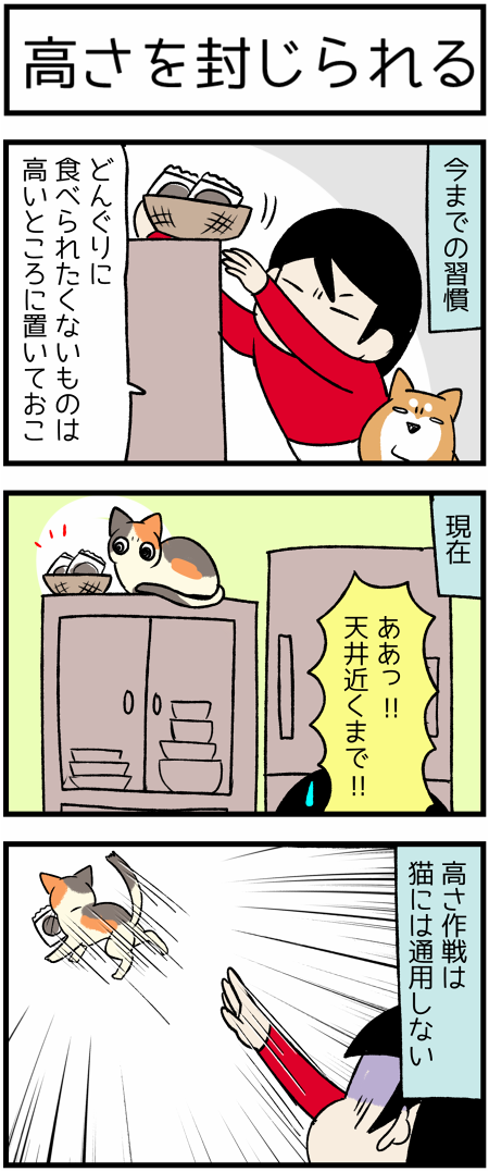 20200111高いところ1
