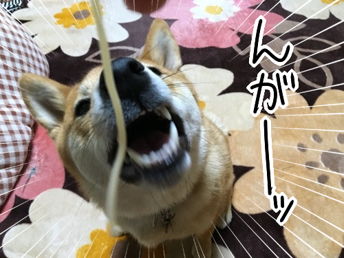 0moxhjc9