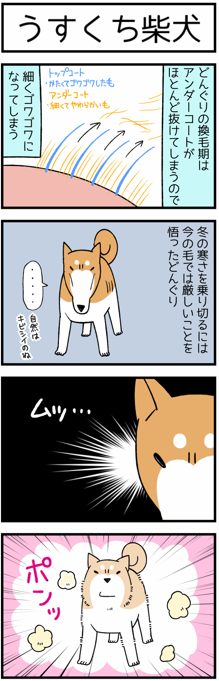 20171202うすくち1