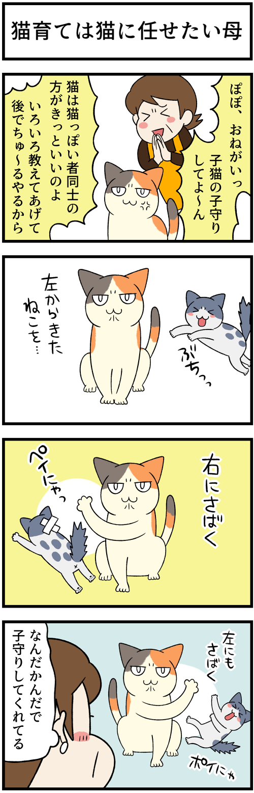 20220406猫育てと本能1