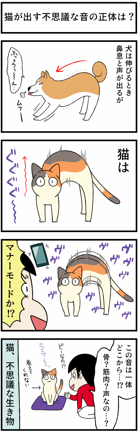 20211103犬猫の音2