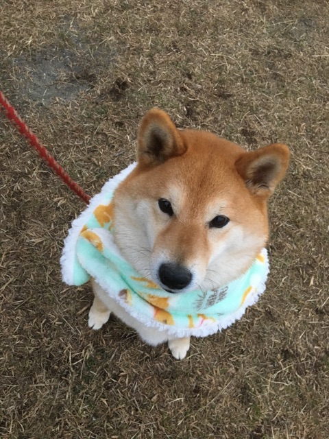 961BF7B7-E824-4F7B-ADAE-E291CD360753