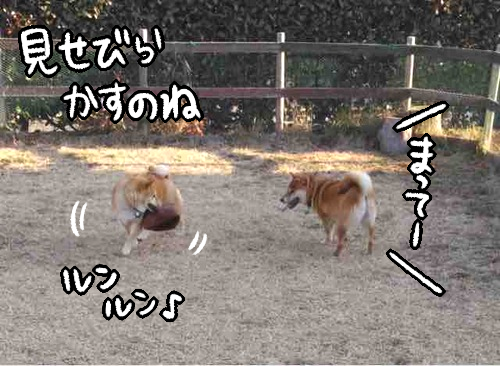 vf4d8ywa