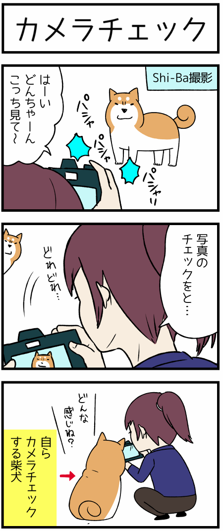 20180130しーば1