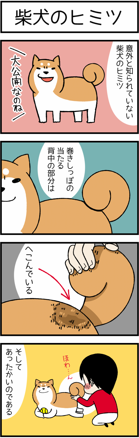 意外と知られていない柴犬のヒミツ 柴犬どんぐり三毛猫たんぽぽ Powered By ライブドアブログ