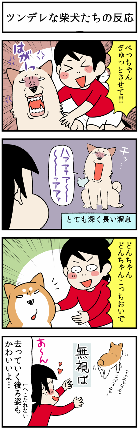 20210705柴犬たち1