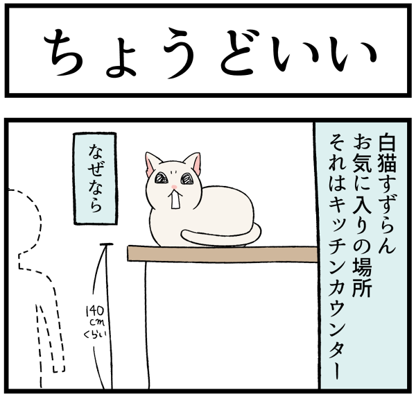 20260701スーちゃんのお気に入り1