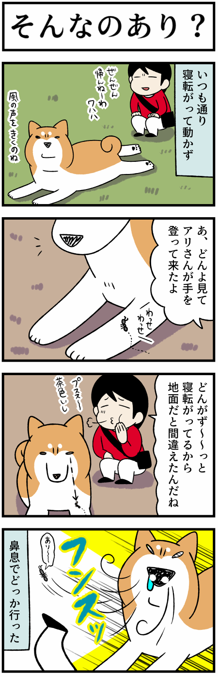 20210401自然と柴犬1