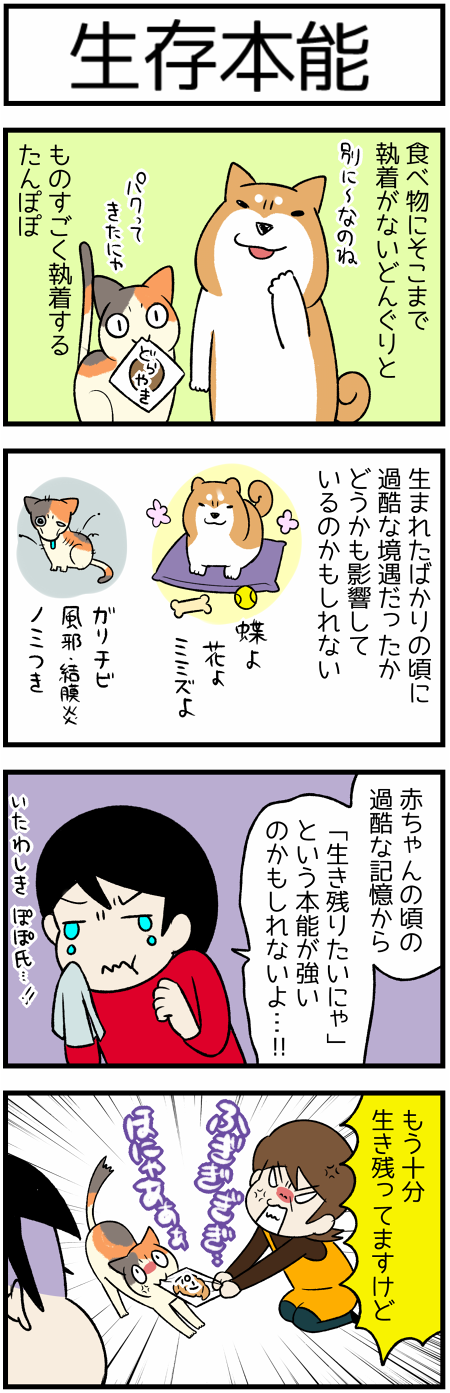 20200303生存本能1