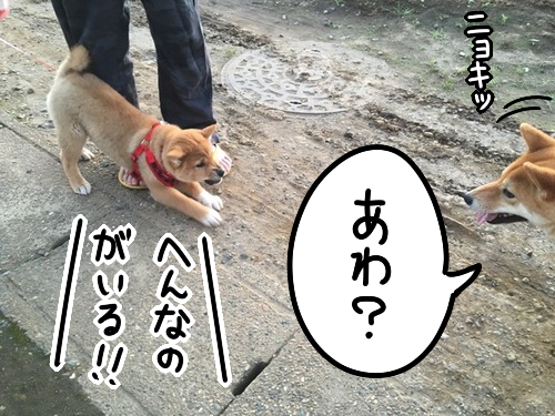 mh07r75p