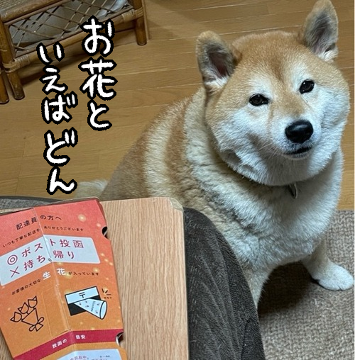 6sw1cfxg