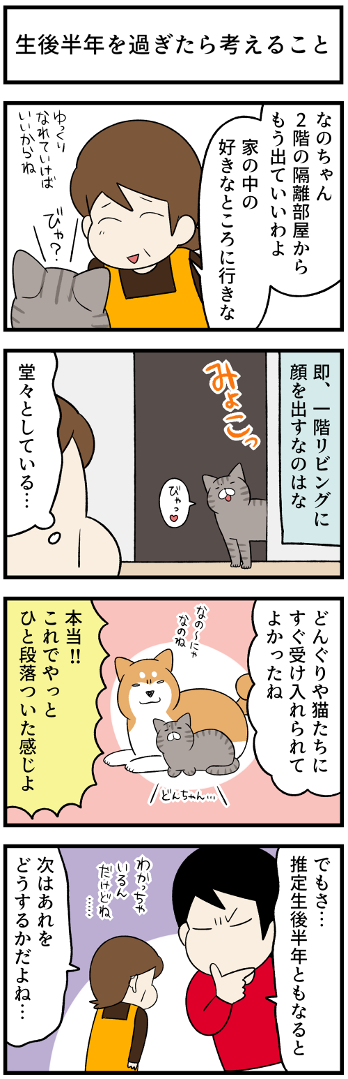 20220807結果オーライ2