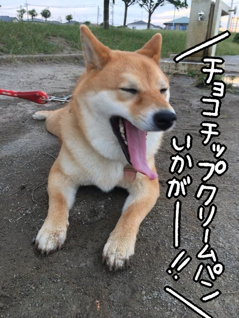 9x5yv553