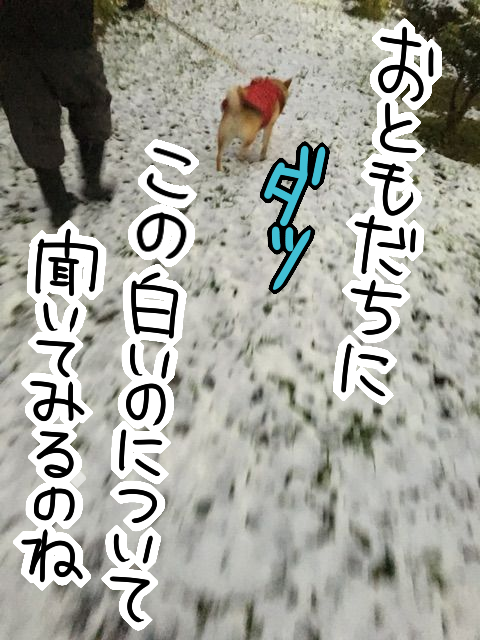 5zrtnofo