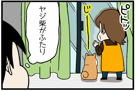 20170327ヤジ柴2