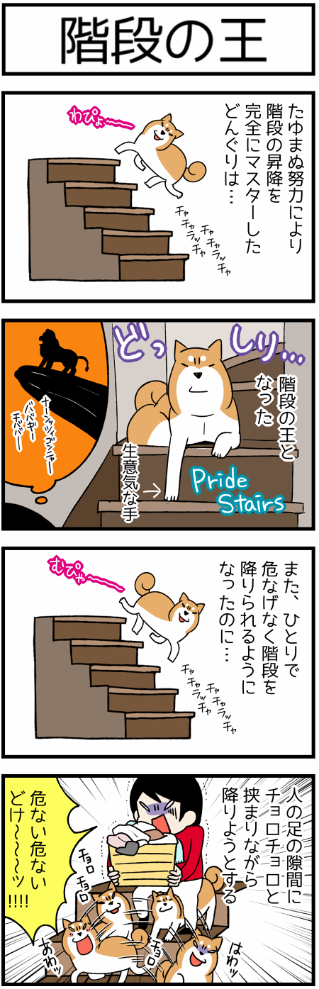 20170802階段の王1